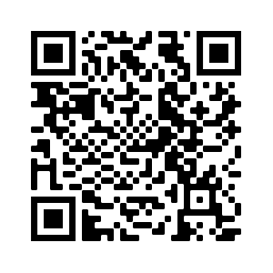 QR Code 10