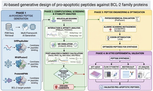 AI peptide engineering workflow