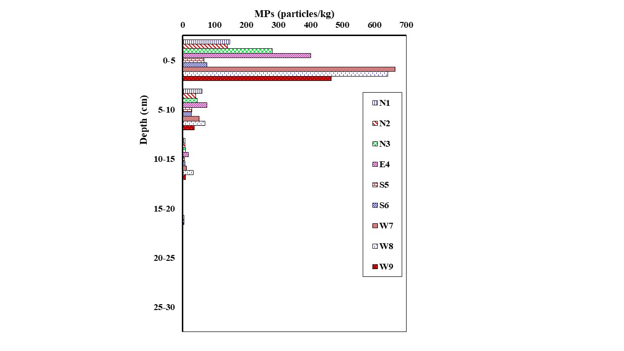 Factors influencing the vertical distribution of microplastics in the beach sediments around the Ras Rakan Island, Qatar