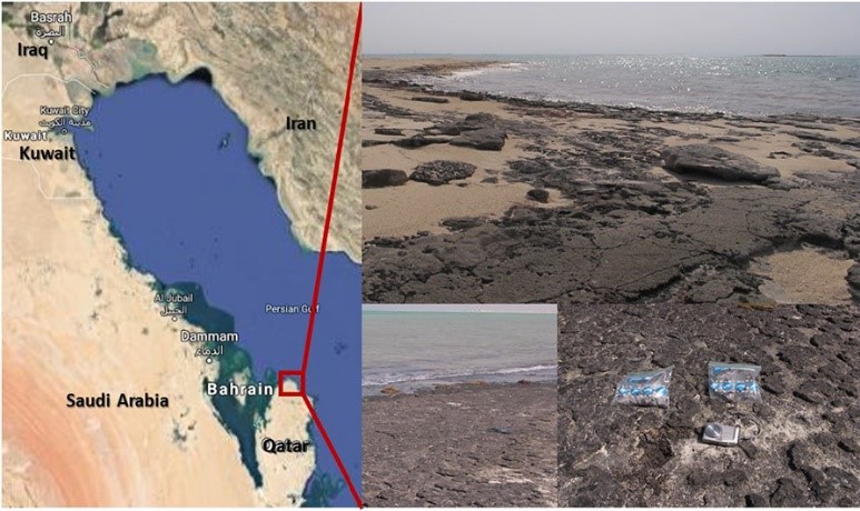 tarmat deposits in the ras rakan island